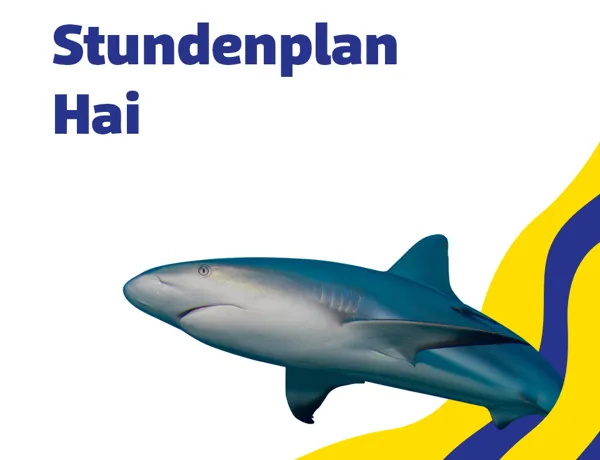 SL 960X960px Stundenplan Hai