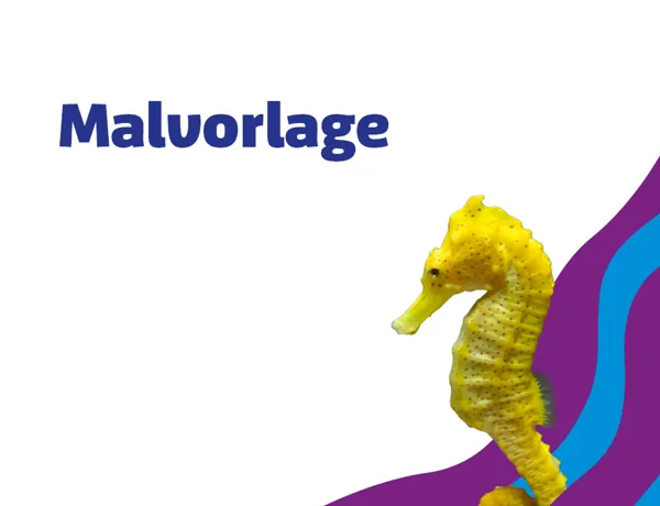 SL 960X960px Schule Malvorlage Seepferdchen