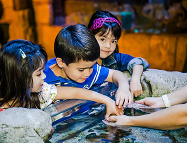 SEA LIFE Kindergarten