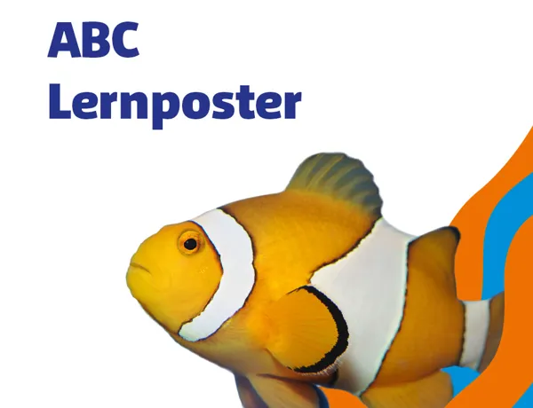 SL 960X960px Schule ABC Lernposter