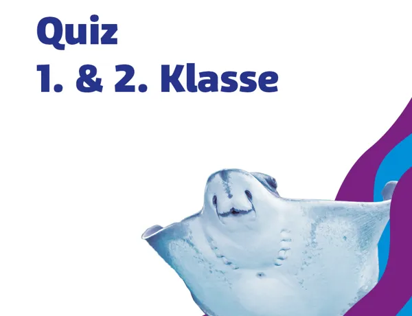 SL 960X960px Schule Quiz 1 2