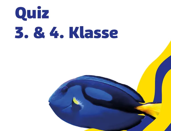SL 960X960px Schule Quiz 3 4