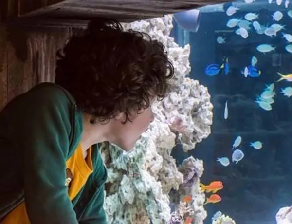 Für Kinder ist das SEA LIFE ein faszinierender Ort, in dem sie viel lernen