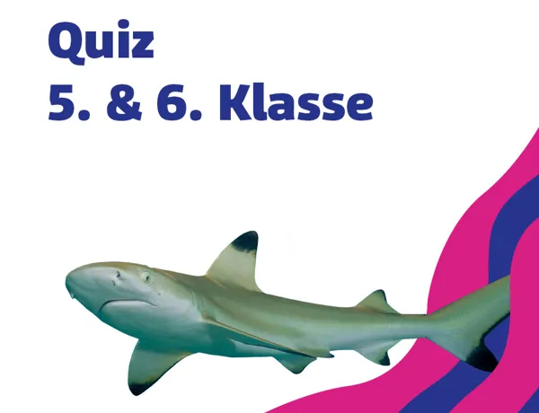 SL 960X960px Schule Quiz 5 6