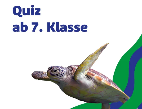 SL 960X960px Schule Quiz 7
