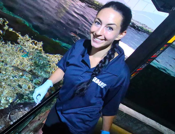 Sea Life Konstanz Aquaristin Bei Fuetterungen