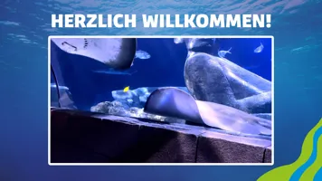 SEALIFE Willkommen