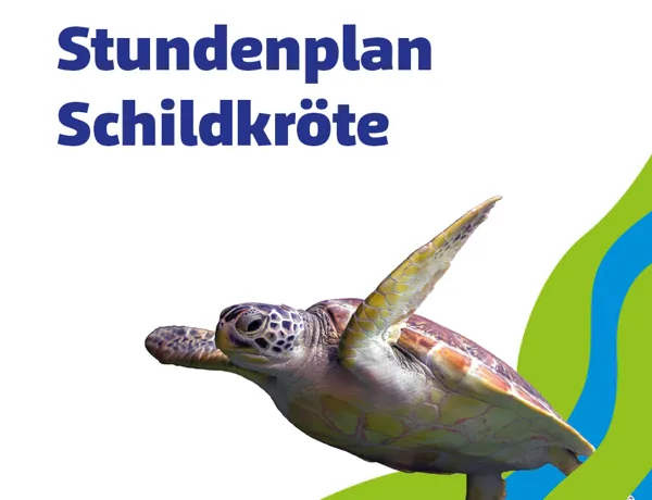 SL 960X960px Stundenplan Schildkroete