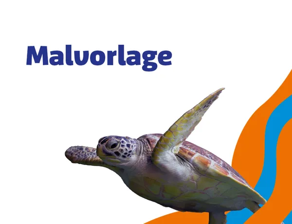SL 960X960px Schule Malvorlage Schildkroete