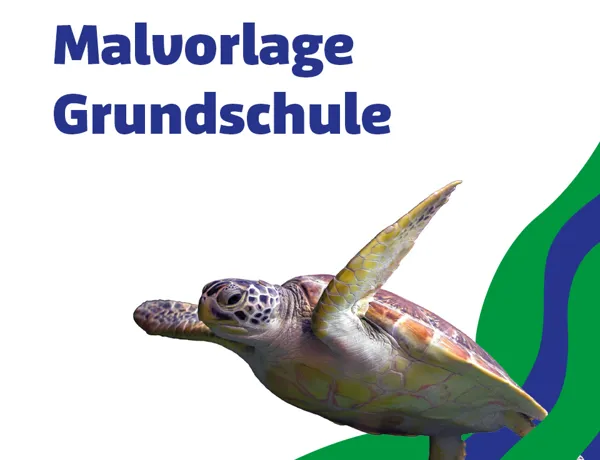 SL 960X960px Schule Malvorlage Grundschule