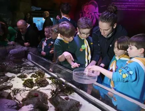 Am Berührungsbecken im SEA LIFE können Kinder einige Tiere von ganz nah kennenlernen